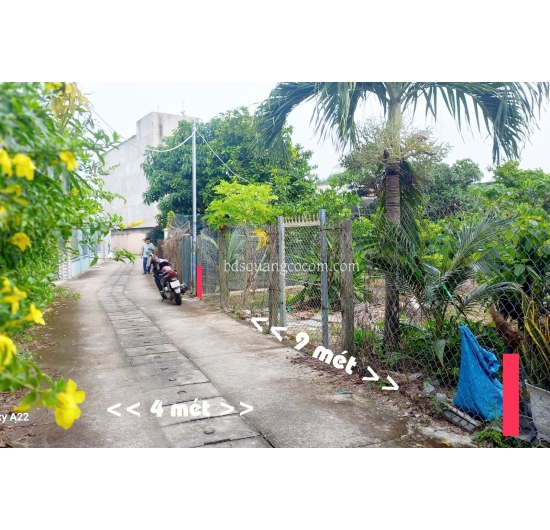 BÁN ĐẤT NHÀ VƯỜN 10Mx17M - AN NHẤT - LONG ĐIỀN - BÀ RỊA VŨNG TÀU 