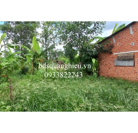 Bán Đất Nhà Vườn đẹp rẻ, Có Nhà cấp 4-10mX20 - xã Bình Trung - Châu Đức - BRVT
