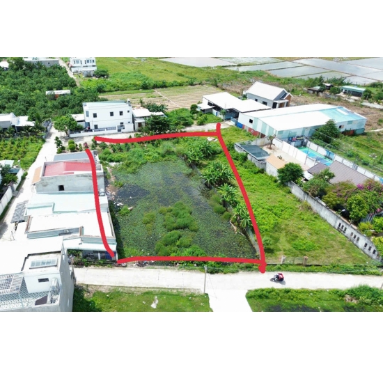BÁN ĐẤT NHÀ VƯỜN -1.031m2 ( 300 THỔ CƯ ) PHƯỜNG LONG TÂM - TP BÀ RỊA  - BÀ RỊA VŨNG TÀU