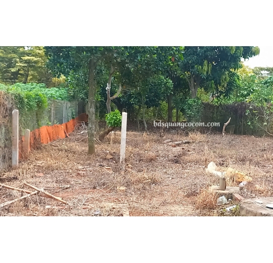 Bán nhà vườn 501m2 - mặt tiền đường nhựa - Hòa Long - Tp Bà Rịa - Bà Rịa Vũng Tàu
