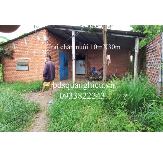 Bán Đất Nhà Vườn đẹp rẻ, Có Nhà cấp 4-10mX20 - xã Bình Trung - Châu Đức - BRVT