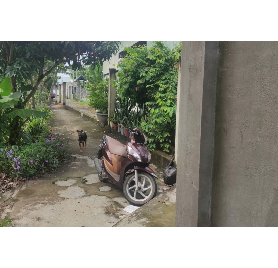 BÁN NHÀ CẤP 4 - ĐANG CHO THUÊ- TRẦN CHÁNH CHIẾU -  PHƯỜNG LONG TÂM - BÀ RỊA VŨNG TÀU