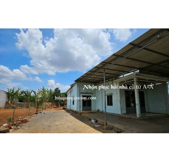 Bán nhà vườn 501m2 - mặt tiền đường nhựa - Hòa Long - Tp Bà Rịa - Bà Rịa Vũng Tàu