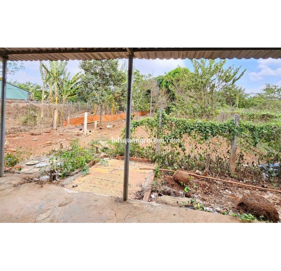 Bán nhà vườn 501m2 - mặt tiền đường nhựa - Hòa Long - Tp Bà Rịa - Bà Rịa Vũng Tàu