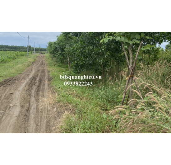 CHÍNH CHỦ GỬI BÁN 45.000m2 (4,5 hectar) ĐẤT TRANG TRẠI VƯỜN-490tr/1sào- XUÂN ĐÔNG - CẨM MỸ -TỈNH ĐỒNG NAI
