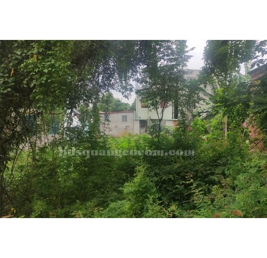 BÁN LÔ ĐẤT NHÀ VƯỜN - KINH DOANH - NGÃ TƯ PHẠM HÙNG - ĐIỆN BIÊN PHỦ - LONG TOÀN - TP BÀ RỊA  - BÀ RỊA VŨNG TÀU