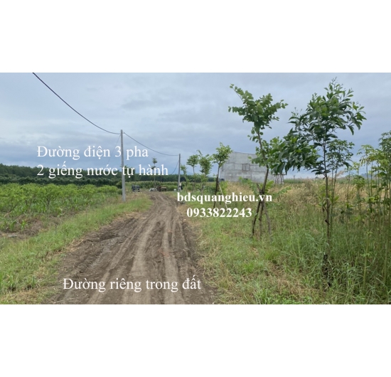 CHÍNH CHỦ GỬI BÁN 45.000m2 (4,5 hectar) ĐẤT TRANG TRẠI VƯỜN-490tr/1sào- XUÂN ĐÔNG - CẨM MỸ -TỈNH ĐỒNG NAI