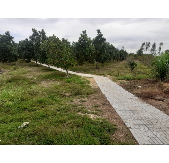 Bán BIỆT THỰ Nhà Vườn Nghỉ Dưỡng Tại Hồ Đá Bàng - Châu Đức