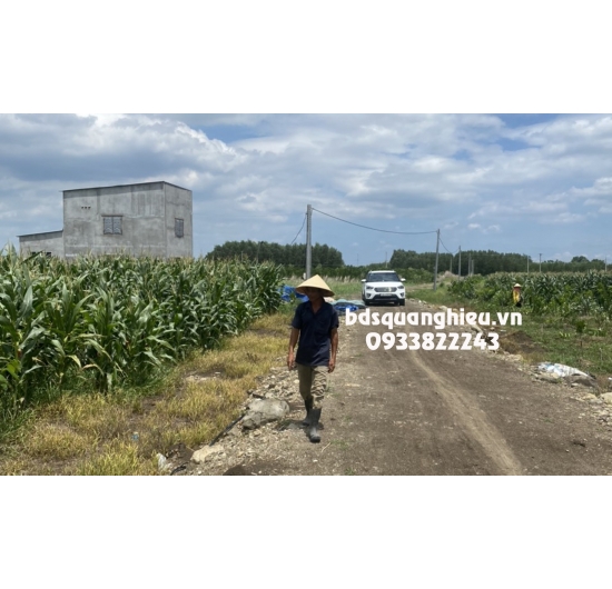 CHÍNH CHỦ GỬI BÁN 45.000m2 (4,5 hectar) ĐẤT TRANG TRẠI VƯỜN-490tr/1sào- XUÂN ĐÔNG - CẨM MỸ -TỈNH ĐỒNG NAI