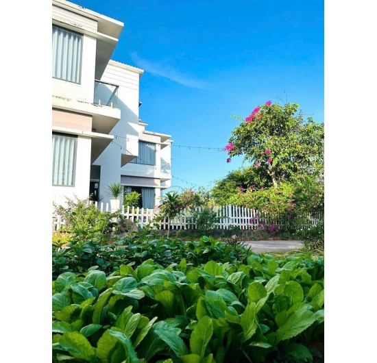 Bán 3 biệt thự trên lô đất 4.044m2 - Bình Châu - Xuyên Mộc - Bà Rịa Vũng Tàu