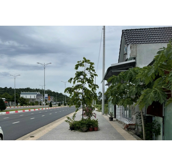 BÁN ĐẤT HAI MẶT TIỀN KINH DOANH Quốc Lộ 56 - 5 m1X10 m  - Thuộc Tân Hải - Phú Mỹ - BÀ RỊA VŨNG TÀU