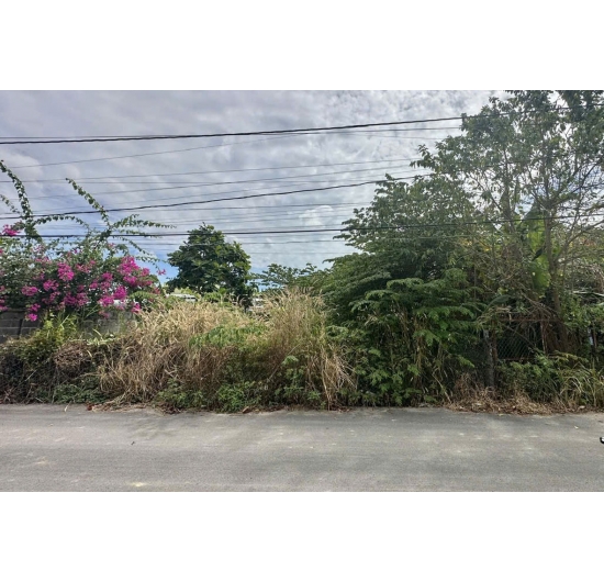  BÁN ĐẤT NHÀ VƯỜN 10Mx49M - TÂN HƯNG - TP BÀ RỊA - BÀ RỊA VŨNG TÀU 