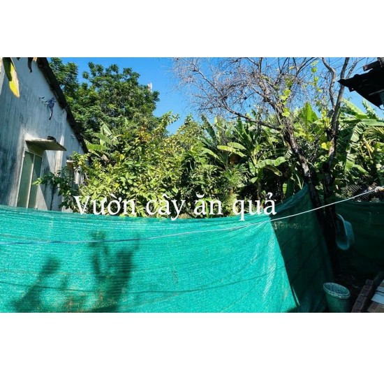 BÁN NHÀ CẤP 4 - DT 182 M2 - KIM DINH- TP BÀ RỊA - BÀ RỊA VŨNG TÀU