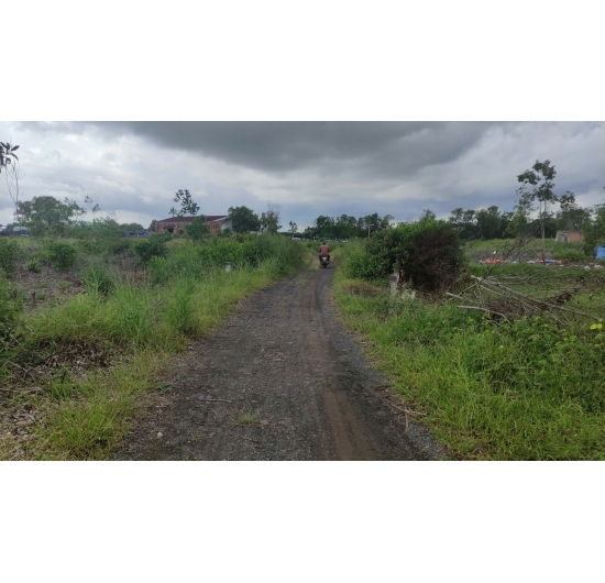 CẦN BÁN 1.624M2 ĐẤT (CLN) BIỂN LỘC AN - ĐẤT ĐỎ - BÀ RỊA VŨNG TÀU - GIÁ RẺ 1TỶ.990TR