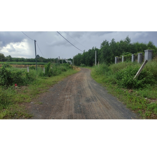 CẦN BÁN 1.624M2 ĐẤT (CLN) BIỂN LỘC AN - ĐẤT ĐỎ - BÀ RỊA VŨNG TÀU - GIÁ RẺ 1TỶ.990TR