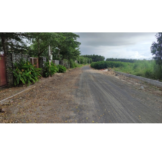 CẦN BÁN 1.624M2 ĐẤT (CLN) BIỂN LỘC AN - ĐẤT ĐỎ - BÀ RỊA VŨNG TÀU - GIÁ RẺ 1TỶ.990TR