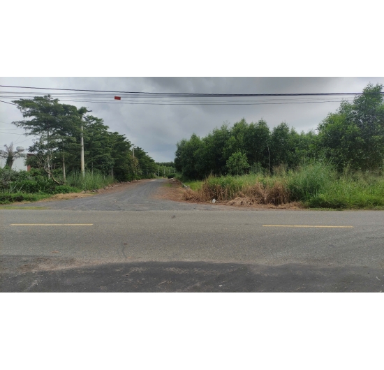 CẦN BÁN 1.624M2 ĐẤT (CLN) BIỂN LỘC AN - ĐẤT ĐỎ - BÀ RỊA VŨNG TÀU - GIÁ RẺ 1TỶ.990TR