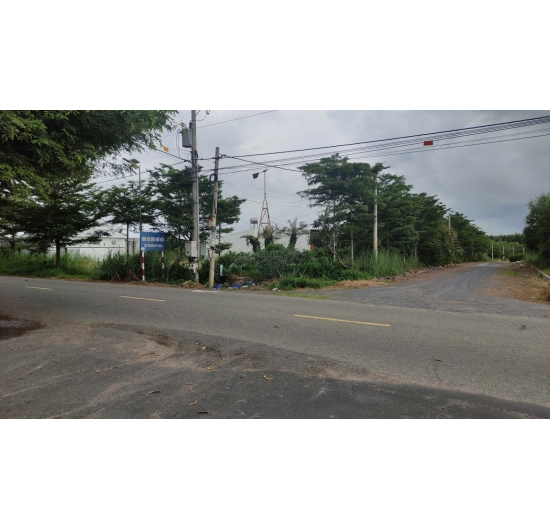 CẦN BÁN 1.624M2 ĐẤT (CLN) BIỂN LỘC AN - ĐẤT ĐỎ - BÀ RỊA VŨNG TÀU - GIÁ RẺ 1TỶ.990TR