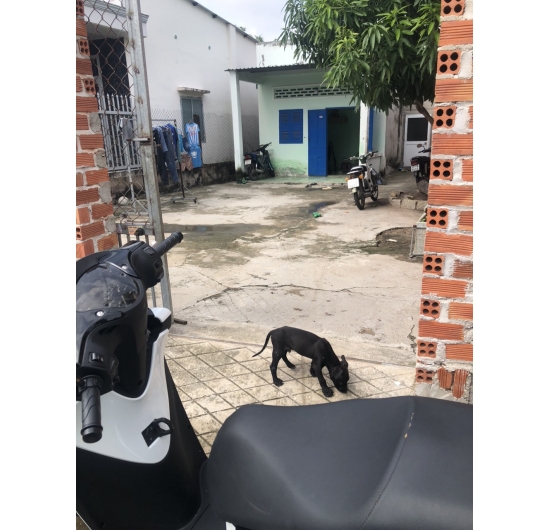 BÁN ĐẤT - NHÀ CẤP NGÃ 3 CHỢ BẾN- AN NGÃI - LONG ĐIỀN - BÀ RỊA VŨNG TÀU