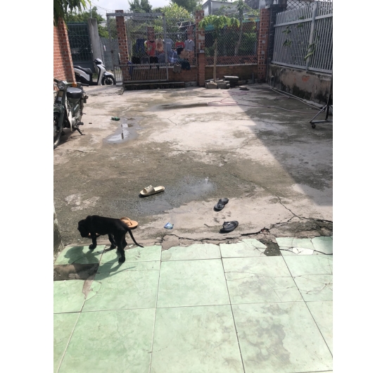 BÁN ĐẤT - NHÀ CẤP NGÃ 3 CHỢ BẾN- AN NGÃI - LONG ĐIỀN - BÀ RỊA VŨNG TÀU