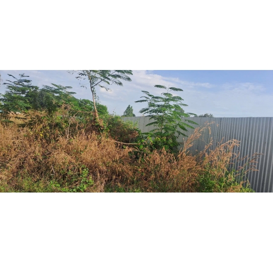 Cần Bán 7.266 m2 đất tại Tân Hưng,Tp Bà Rịa, Bà Rịa Vũng Tàu- 2tr/1m2 0918402243
